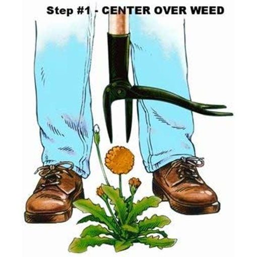 4-Claw Steel Wild Plant Puller