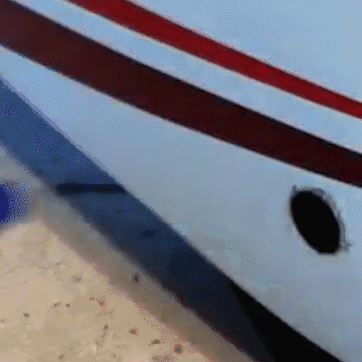 Valve Cap And Core Tool