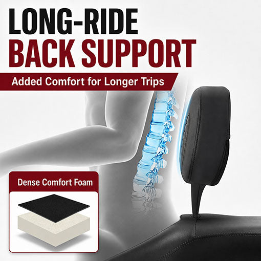 Motorcycle Detachable Plug-in Driver Backrest Pad