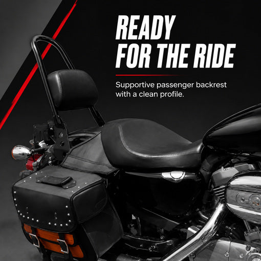 Motorcycle Detachable Sissy Bar Passenger Backrest