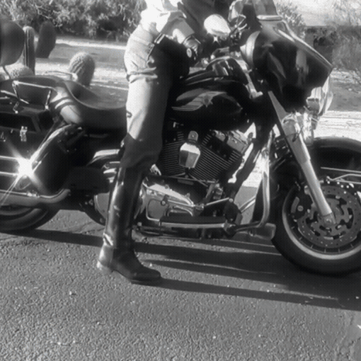 Motorcycle Reverse Gear Clutch